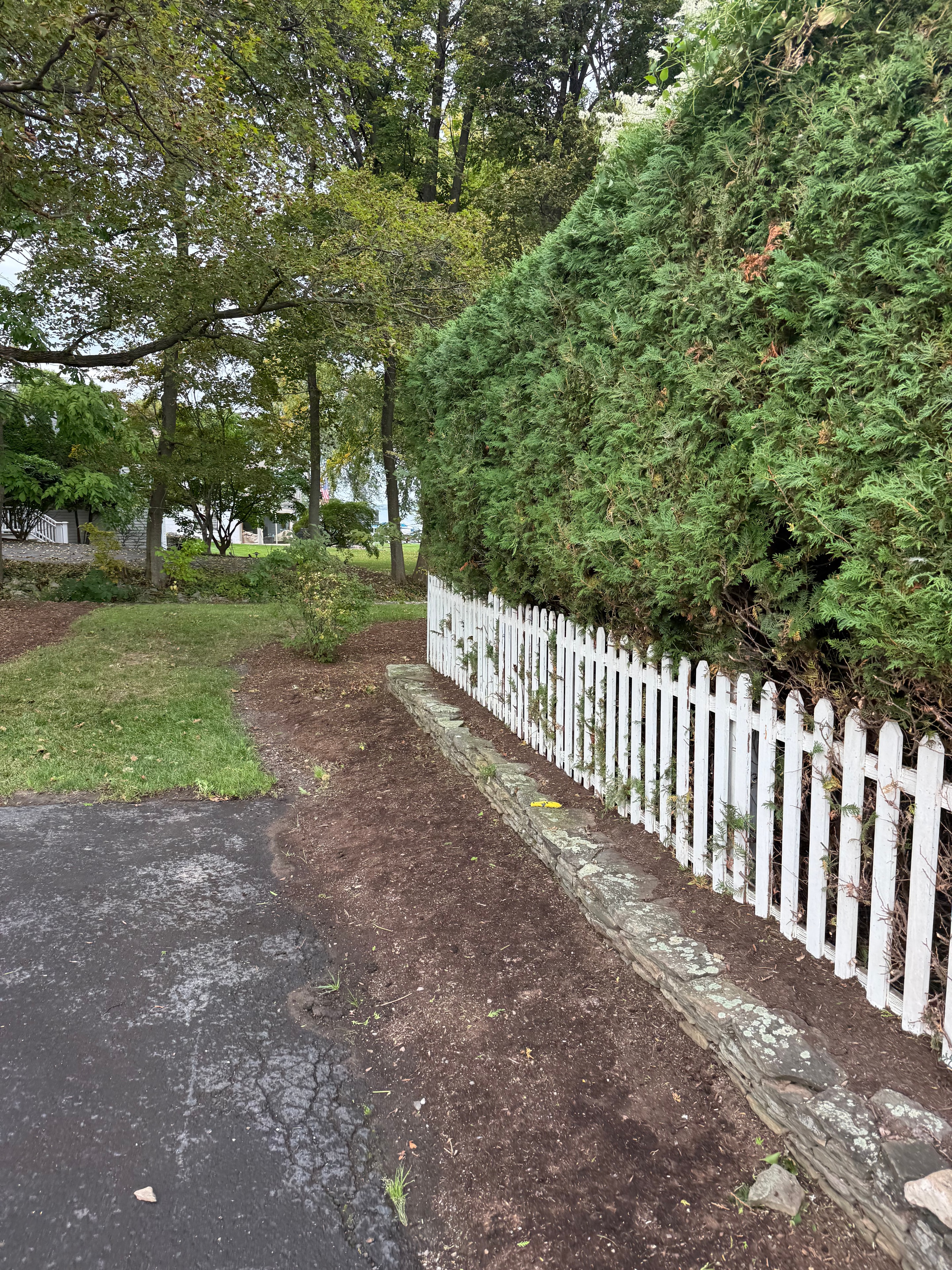 Perfectly trimmed hedges & fence line